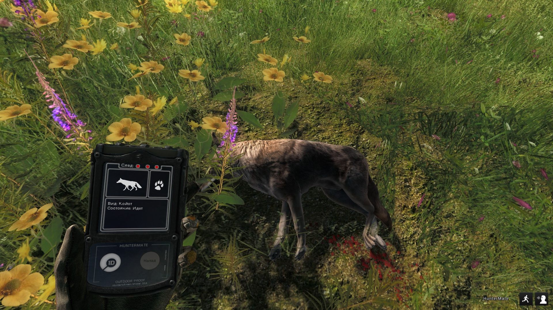 theHunter Classic