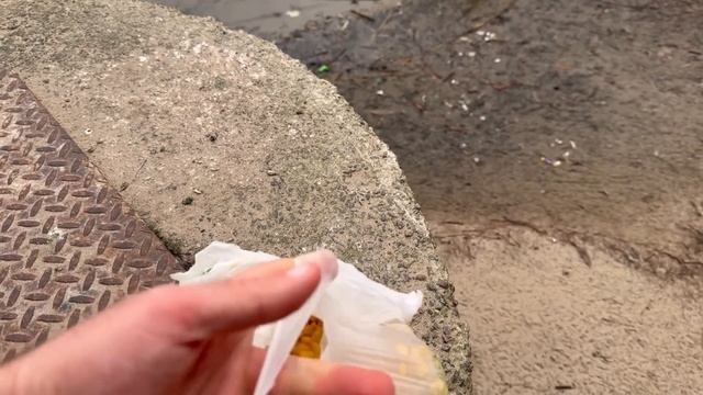 Украина 9 декабря! Что происходит в Киеве сегодня! (Саша)