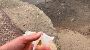 Украина 9 декабря! Что происходит в Киеве сегодня! (Саша)