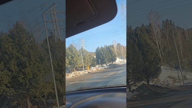 Поездка за дюрками смотреть онлайн