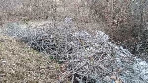 В Кисловодске нет борьбы с мусорными свалками! Экология курорта гибнет! 9.12.2025 г.