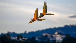 Посольство РФ заявило о генерации Западом угрожающих Венесуэле спекуляций