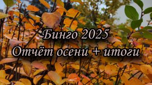 Бинго 2025. Итоги осени и года. Участник 64