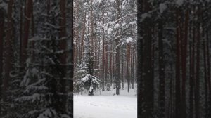 №100 Гармонизация и выравнивание полей структур