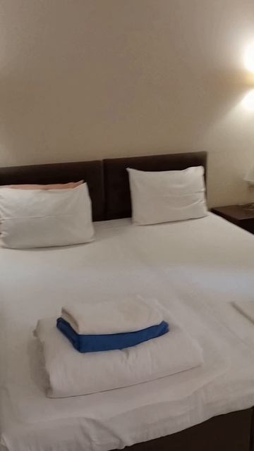 ДО Челюскинцев 2025. Номер полулюкс.