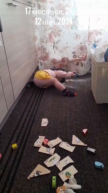 17 мес.,21 дн.Собирает смесь.(12 янв.2024).mp4