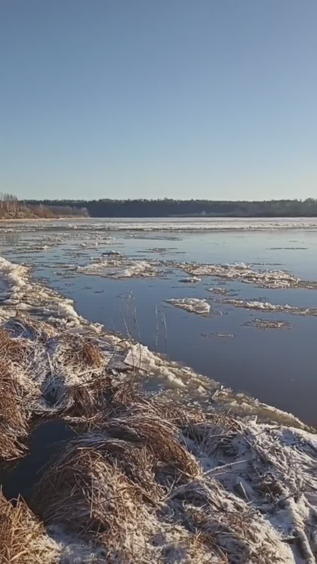 Шуга на Вятке. 08.12.2025 года.