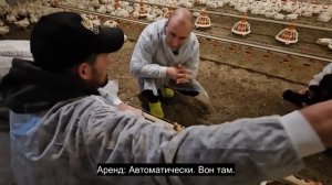 Ep.28 Modern Russian Chicken Farm (Russian Subtitles)