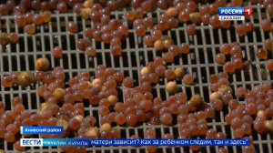 "Вести. Сахалин. Курилы". 8 декабря 2025 года