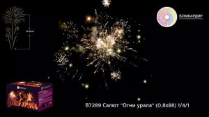В7289 Салют Огни урала (0,8х88) 141