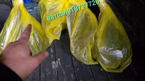 «Омада харидорӣ кунед—ё мо худамон мерасонем!
Барои маълумоти пурра ва дархост — танҳо дар WhatsApp