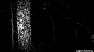 Сибирская тварь. Страшные истории на ночь 🫣🫣🫣