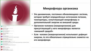 Вебинар: «Энергия и микрофлора организма»
