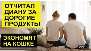 САМВЕЛ АДАМЯН, ОБЗОР ОТ СК, ЛЕША ОТЧИТАЛ ДИАНУ ЗА ПОКУПКИ, НЕ КОРМЯТ КОШКУ..