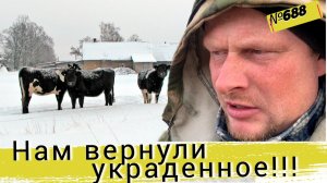 Нам вернули украденный канал и 20 рулонов сена. Жизнь и будни в Омской деревне.
