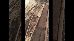 теплица 9 декабря #теплица #дача #садоводничество #огород #уходзатеплицей #зима #урожай