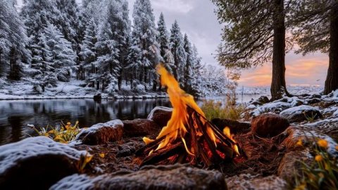 🔥 Тихий зимний костёр, снег, лес и мягкое вечернее небо…