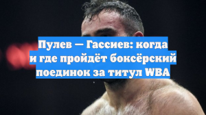 Пулев — Гассиев: когда и где пройдёт боксёрский поединок за титул WBA