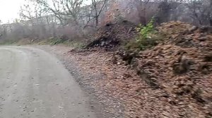 Кисловодск. Окрестности ул. Ермолова. часть-1. 9.12.2025 г.