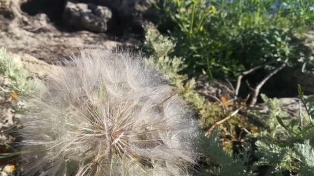 Молитва 8 Его страхи. Молитвы за мужа из книги Сторми Омартиан "Сила молящейся жены"