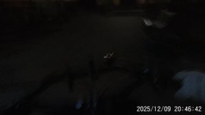 Сфотографировала малыша на память и убила: в Барнауле будут судить за убийство новорожденного