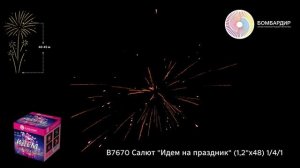 В7670 Салют Идем на праздник (1,2х48) 141