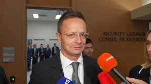 Сийярто: идея об ускоренном включении Украины в ЕС безумна