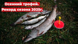 Рыбалка на щуку. Поймали Трофей. Рекорд сезона открытой воды 2025г.