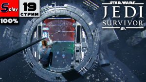 Star Wars Jedi: Survivor на 100% - [19-стрим] - Рэйвис