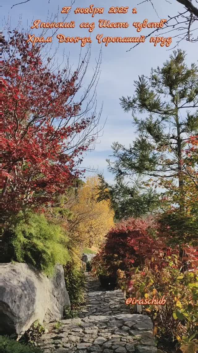 27 ноября 2025 г. Японский сад "Шесть чувств". Храм Дзен-до,Черепаший пруд #крым #мрия #японскийсад