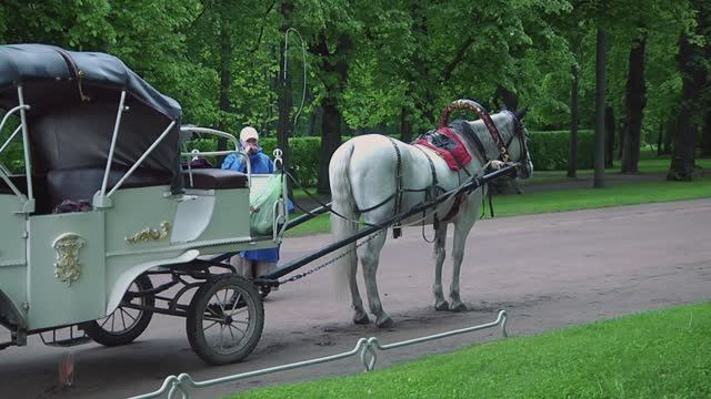 Павловское. (7) Дворцово-парковый ансамбль . смотреть онлайн