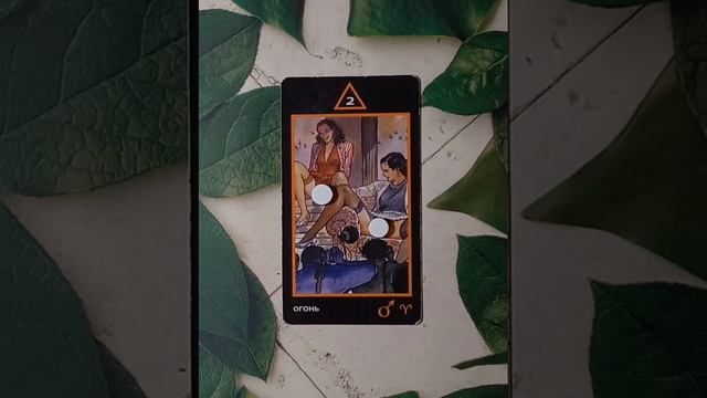 Для начинающих.Таро Манара.Младшие аркан.Двойка огня.