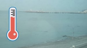 Муром-Хоста 2025.