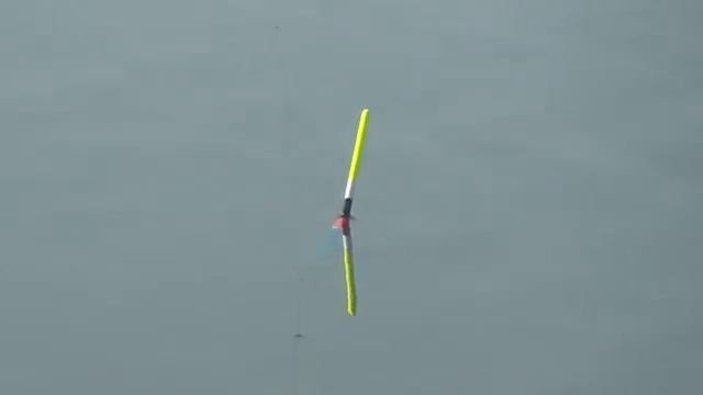 УШЕЛ ПОДАЛЬШЕ ОТ ТОЛПЫ И ПОПАЛ НА ЖОР БОЛЬШОЙ ПЛОТВЫ