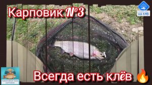 Карповик N°3. Отличный клёв за 2 часа рыбалки🔥🎣 Ставропольский край.