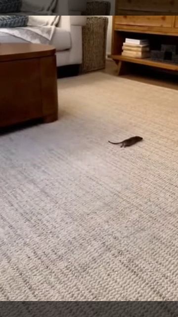 Хватит прохлаждаться иди работать