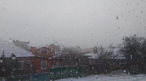 Первый снег. 9 декабря 2025 год.