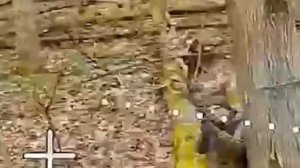 реальный хрякан не прошел фейс контроль