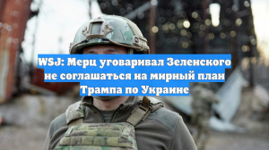 WSJ: Мерц уговаривал Зеленского не соглашаться на мирный план Трампа по Украине