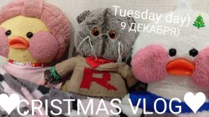 НОВОГОДНИЙ ДЕНЬ С МИЛКОЙ И БАСИКОМ 🎄🍪🫶🏻♥))