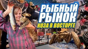 РЫБНЫЙ РЫНОК. ОБЗОР
