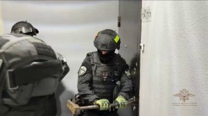 Сотрудники МВД России пресекли деятельность по сбыту фальсифицированной лекарственной продукции