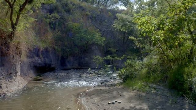 Шаманский бубен у водопада | Пение птиц, звуки природы