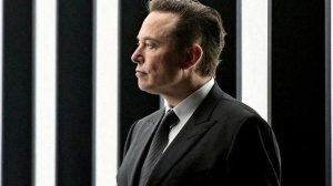 Маск: комиссары ЕС ответственны за убийство Европы