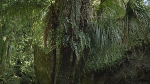 Доисторическая планета 1 сезон 3 серия (документальный сериал, 2025)