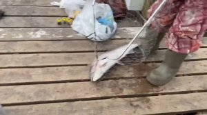 09.12.25 г. РК Волна.