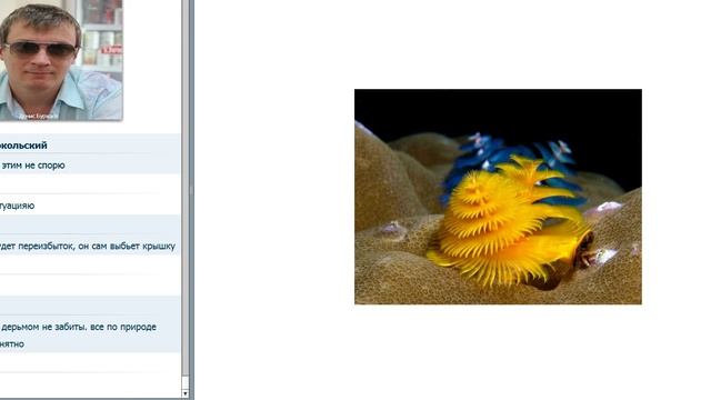 3_Денис Бурхаев - Вебинар «В деньгах счастье»