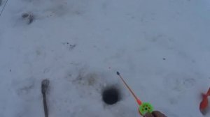 Рыбалка,оз.Чаны! 7 декабря! Разнорыбье!