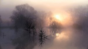 Андрей МИСИН "Молчи"