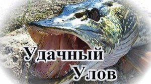 Лучшая Рыбалка и Охота на ЩУКУ! Ловим в густой тине с лодки. Крутая Мужская Рыбалка. Ловля Щук